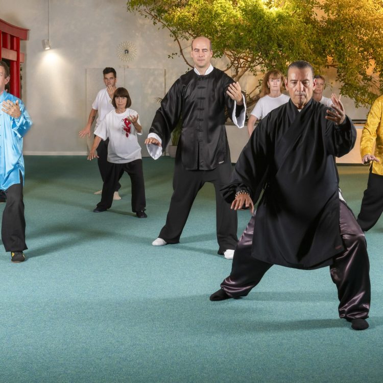 Akademie für Tai Chi & Kung Fu - 2633-min